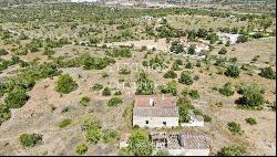 Rural Farm, for sale, Pêra, Alcantarilha