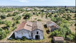 Rural Farm, for sale, Pêra, Alcantarilha