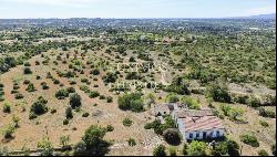 Rural Farm, for sale, Pêra, Alcantarilha