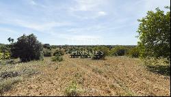 Rural Farm, for sale, Pra, Alcantarilha