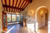 Ref. 4764 Marvelous villa with swimming pool and olives - San Vincenzo