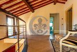 Ref. 4764 Marvelous villa with swimming pool and olives - San Vincenzo