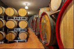 Ref. 6510 Winery with farmhouse and wine cellar in Greve in Chianti