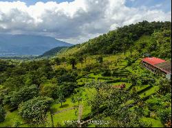 Successful Eco Lodge In Rio Celeste