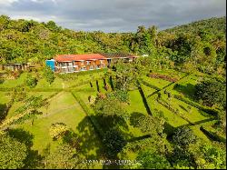 Successful Eco Lodge In Rio Celeste