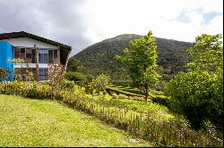 Successful Eco Lodge In Rio Celeste