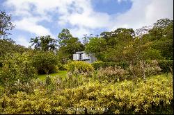 Successful Eco Lodge In Rio Celeste