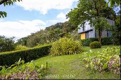 Successful Eco Lodge In Rio Celeste