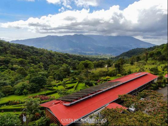 Successful Eco Lodge In Rio Celeste