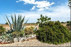 Charming masseria with sea view