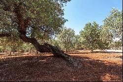 Charming masseria with sea view