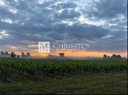 Lovely vineyard estate for sale set up on 11 ha with 3 ha of vine.