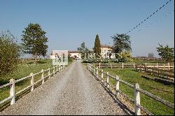 Lovely vineyard estate for sale set up on 11 ha