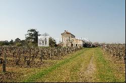 Lovely vineyard estate for sale set up on 11 ha with 3 ha of vine.