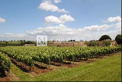 For sale Turnkey organic vineyard estate of 26 ha - perfectly maintained!