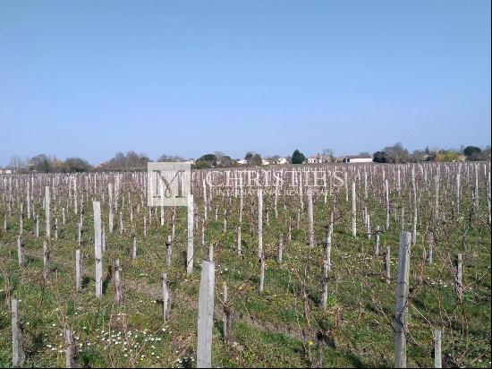 AOC Moulis vineyard estate of 16 ha in one single block with a stone house to renovate