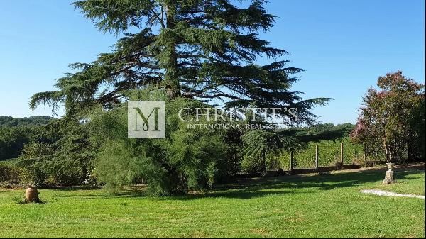For sale about 2,5 ha of AOC Saint-Emilion vine and smalle house to renovate