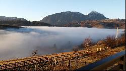 The House Above The Clouds