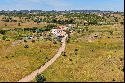 Rural Adventure in Grndola: 6 Hectares of Pure Charm