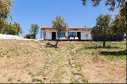 Rural Adventure in Grandola: 6 Hectares of Pure Charm