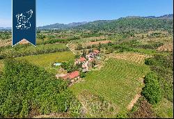 Prestigious farmstead with 50 hectares of cultivated grounds in Arezzo's stunning countrys