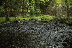 Stream Front Home Site at The Chapin Estate