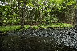 Stream Front Home Site at The Chapin Estate