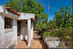 Small Farm, 2 bedrooms, for Sale