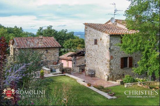 SMALL ESTATE WITH VINEYARD FOR SALE IN TUSCANY, ANGHIARI Romolini - Christie's