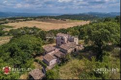 Tuscany - SMALL ESTATE WITH VINEYARD FOR SALE IN TUSCANY, ANGHIARI