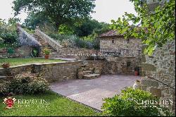 Tuscany - SMALL ESTATE WITH VINEYARD FOR SALE IN TUSCANY, ANGHIARI