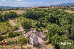 Tuscany - SMALL ESTATE WITH VINEYARD FOR SALE IN TUSCANY, ANGHIARI