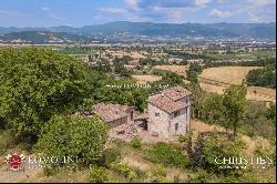 Tuscany - SMALL ESTATE WITH VINEYARD FOR SALE IN TUSCANY, ANGHIARI