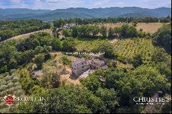 Tuscany - SMALL ESTATE WITH VINEYARD FOR SALE IN TUSCANY, ANGHIARI