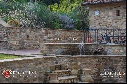 Tuscany - SMALL ESTATE WITH VINEYARD FOR SALE IN TUSCANY, ANGHIARI