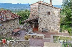 Tuscany - SMALL ESTATE WITH VINEYARD FOR SALE IN TUSCANY, ANGHIARI