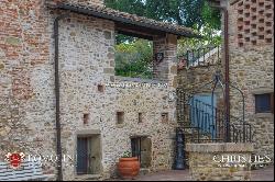 Tuscany - SMALL ESTATE WITH VINEYARD FOR SALE IN TUSCANY, ANGHIARI