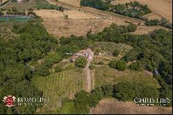 Tuscany - SMALL ESTATE WITH VINEYARD FOR SALE IN TUSCANY, ANGHIARI