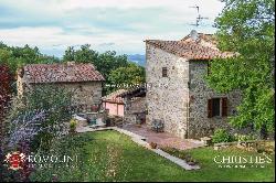 Tuscany - SMALL ESTATE WITH VINEYARD FOR SALE IN TUSCANY, ANGHIARI