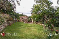 Tuscany - SMALL ESTATE WITH VINEYARD FOR SALE IN TUSCANY, ANGHIARI