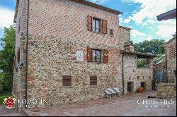 Tuscany - SMALL ESTATE WITH VINEYARD FOR SALE IN TUSCANY, ANGHIARI