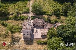 Tuscany - SMALL ESTATE WITH VINEYARD FOR SALE IN TUSCANY, ANGHIARI