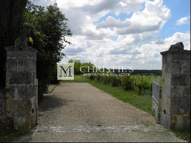 Turnkey hobby vineyard estate of 3,5 ha with pretty residence