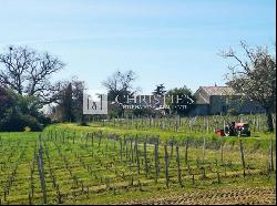 Turnkey hobby vineyard estate of 3,5 ha with pretty residence
