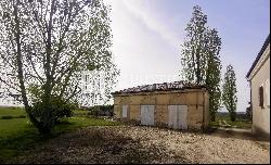 For sale in Nérac (Lot et Garonne) impressive turn-key vineyard estate