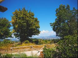 Casa Abbot, Gubbio, Umbria