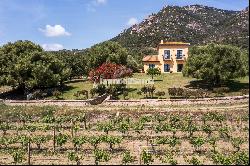 Magnificent 15 hectares Vineyard Farm Estate