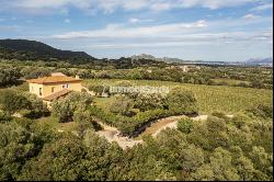 Magnificent 15 hectares Vineyard Farm Estate