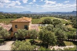 Magnificent 15 hectares Vineyard Farm Estate