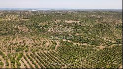 Farm with ruins and orchard, Tavira, Algarve